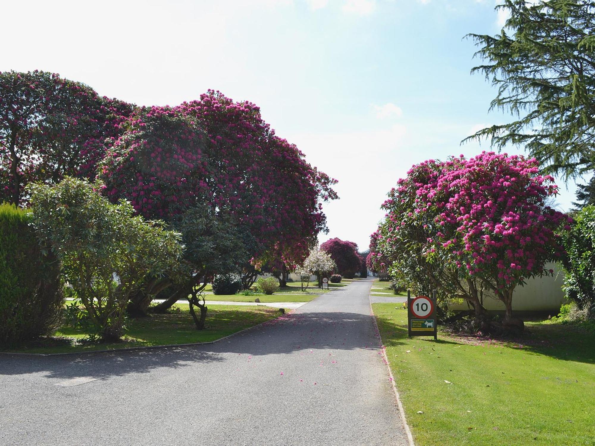 Tresco - B6520 Vila Saint Cleer Exterior foto